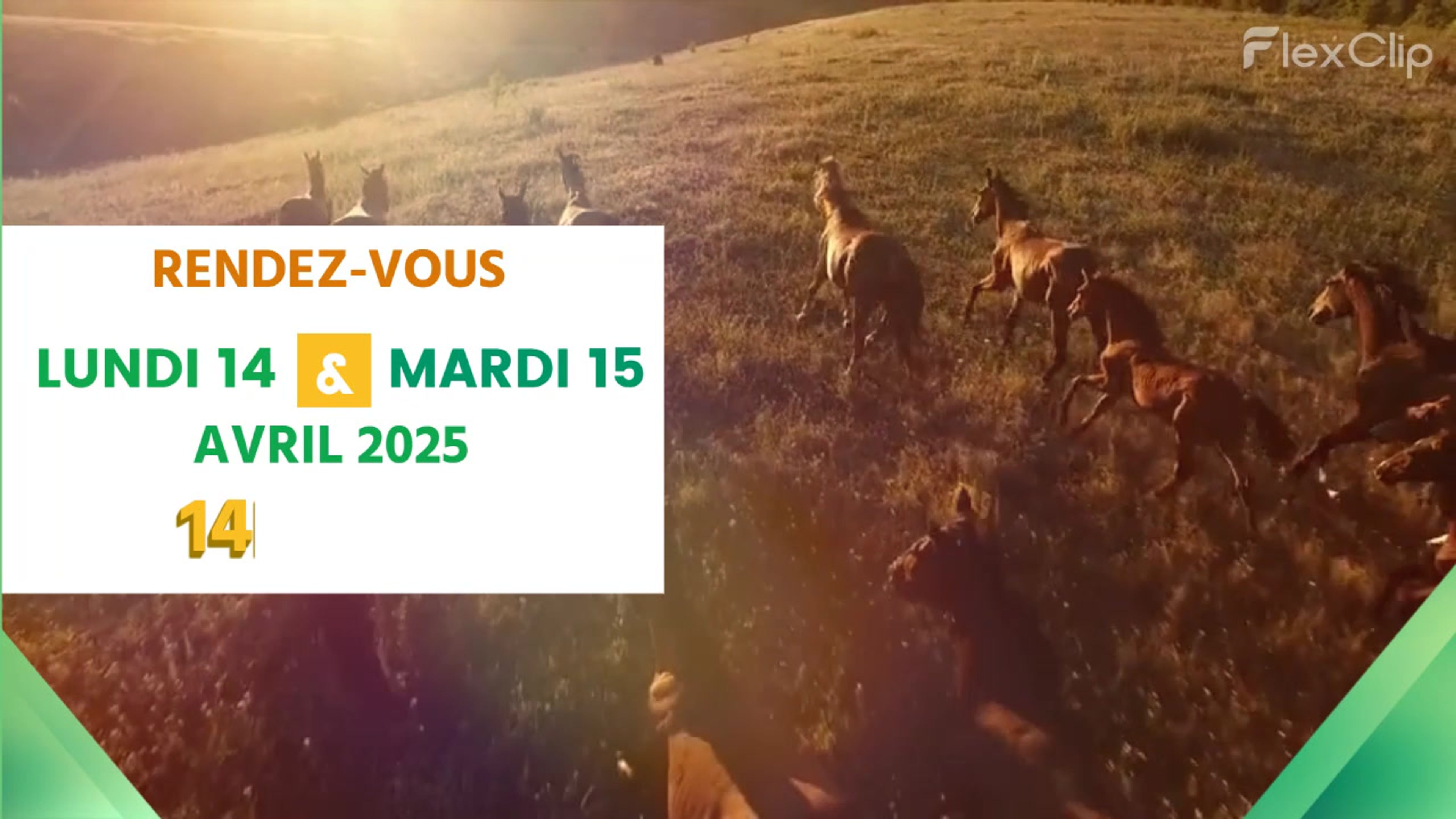sortie équitation